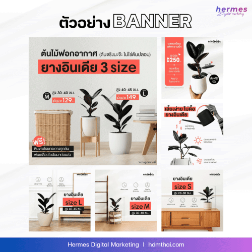 รับดูแลเพจ-ชลบุรี(11)